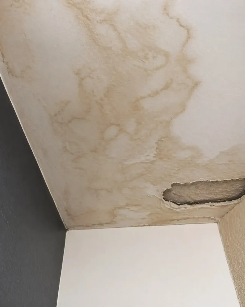 Ceiling seepage and dampness damage with water stains, paint bubbling, and moisture patches inside a residential apartment.