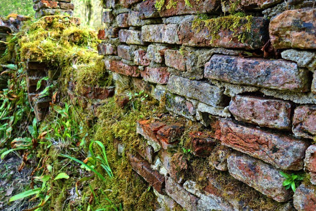 Crumbling brick wall, crumbling wall, wall, brick, brickwork, aging, weathered, overgrown, moss grown, moss, moss on wall, crumbling wall, crumbling wall, crumbling wall, crumbling wall, crumbling wall, brickwork, overgrown, overgrown, overgrown, moss, moss, moss