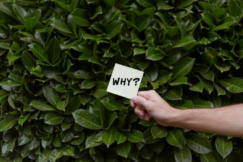 A hand holding a note with the word 'why? ' against a backdrop of green leaves.